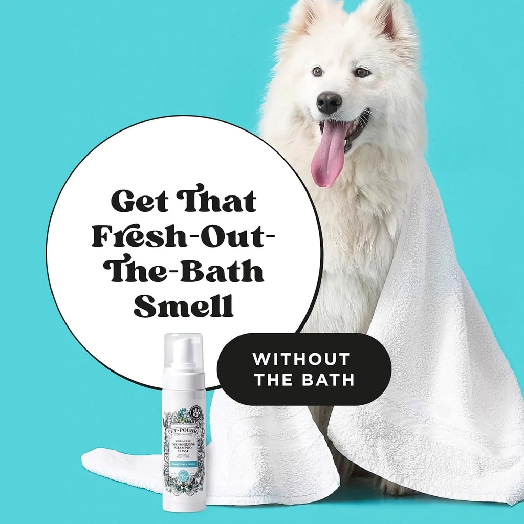 Pet Dry Shampoo No Rinse Foam Deodorizing Plant Based Dog Cat Odor
